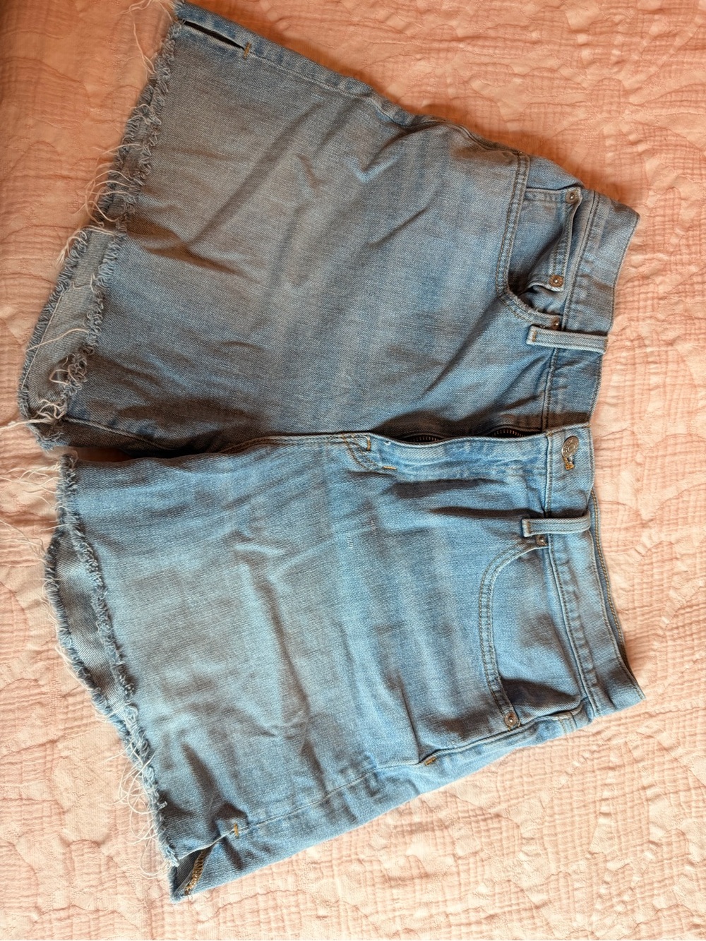 J. Crew Light Wash Denim Frayed Hem Shorts